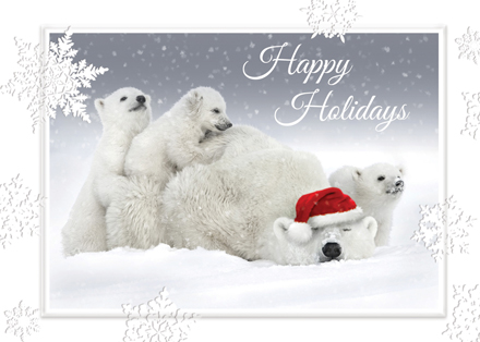 Polar Bear Christmas Cards